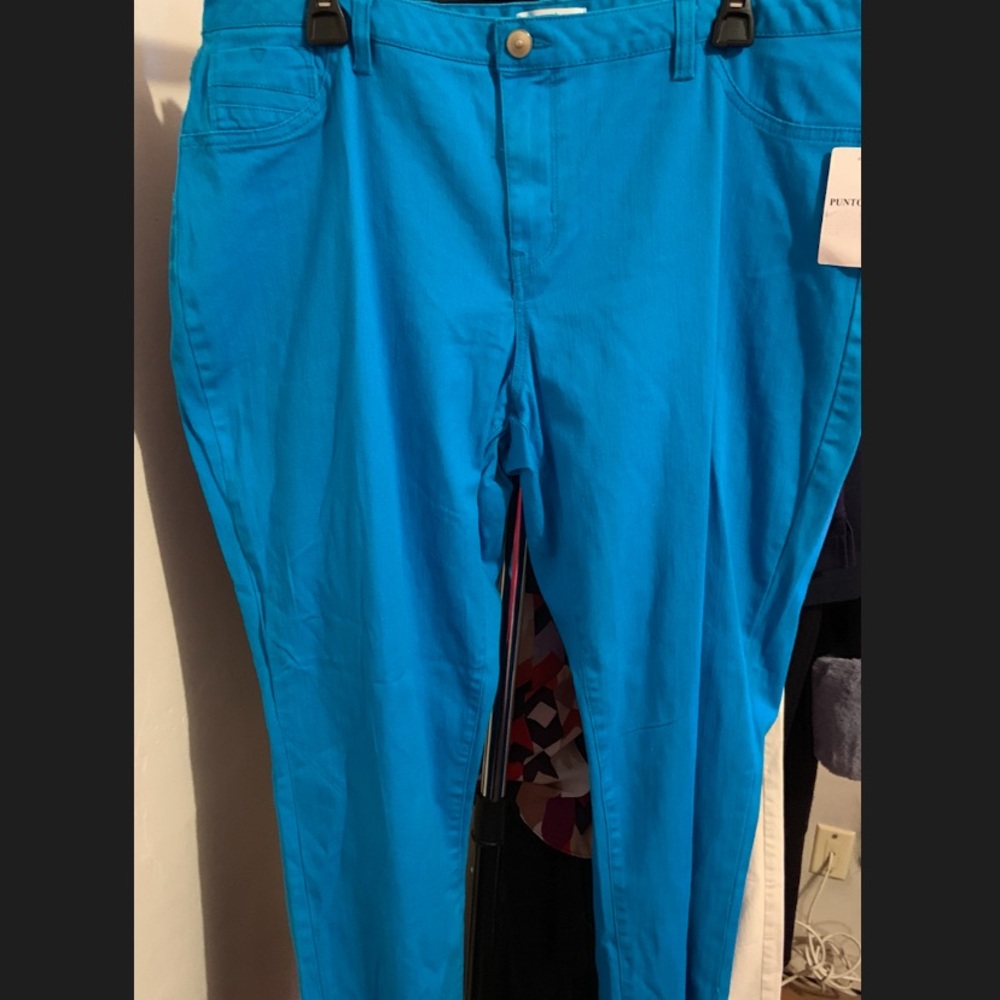 NWT  Teal Colored Pants 👖